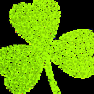 Meet your Posher, Simisola